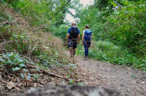 via francigena viterbo roma