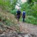 via francigena viterbo roma